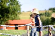 Idyllic Family Getaway on a Working Farm in Transylvania, Romania