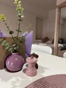 Top Duszniki-Zdrój Top Duszniki-Zdrój