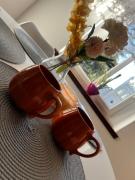 Apartament Wolności