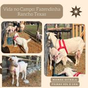 Pousada Rancho Texas Ubatuba