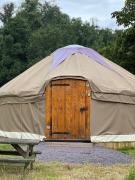 Chestnut - Yurt
