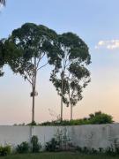 Villa 5 with Private Pool