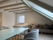 Central apartment nearby munich