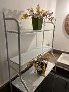 استوديو أنيق في الجونة