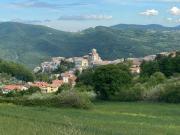 Top San Buono