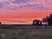Luccombe Farm Holiday Cottages