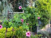 Wabi Sabi , casa de playa