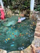 Casa caracol Macario