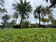 Top Ban Thung Kalahom (1)
