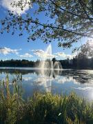 Cozy 2-Room Flat with Sauna and Work Desk