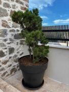 Top Laurac-en-Vivarais