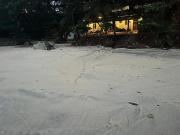 Top Kannur