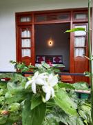 Green High Point Haven Ella