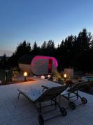 Top Silnowo Top Silnowo