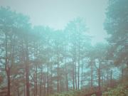 Top Baguio