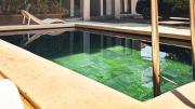 Coastal Charm Apartment l 2 Bedrooms situated on second floor l Mont Choisy l Shared Pool l Fully Equipped Kitchen l Parking Space l Close toamenities