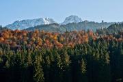 Top Zakopane