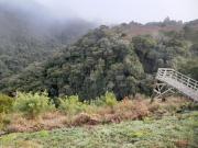 Top São Francisco de Paula