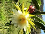 Top Vila Nova de Famalicão Top Vila Nova de Famalicão