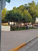 Top La Coyotera Top La Coyotera