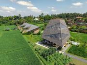 Top Ubud