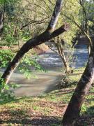 Cabaña Selva Misionera