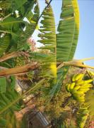 Top Áyios Andréas Messinias