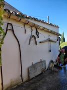 Top Buseto Palizzolo