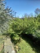 Top Ivrea