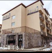 Tribu apart Hotel bakuriani