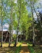 Top Trzebuska Top Trzebuska