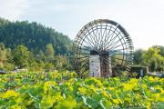 Top Huangshan Scenic Area
