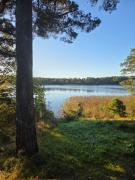 Vitteludd Near Shore House