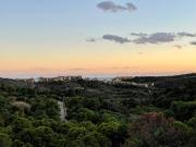 Deluxe Flat Surrounded by Nature