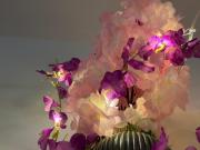 Swarga Fireflies Duo