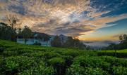 Top Munnar