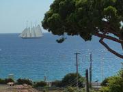 Top Cannes