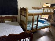 Top San Rafael Cedros