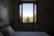 Top Todi