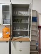 Top Tangara da Serra