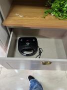 Top Tangara da Serra