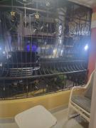 Top Santiago de los Caballeros