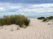 Top Smedstorp Top Smedstorp