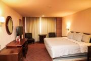 Hotel Real Plaza Aguascalientes