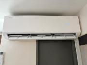 Top Santa Rosa Top Santa Rosa