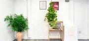 Bright & Cozy Rooms with Privated Bathrooms in Toronto