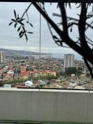 Top Viña del Mar