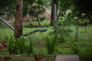 Top Auroville