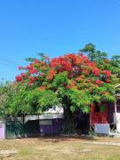 Pousada Sol de Berlinque