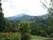 Top Amola